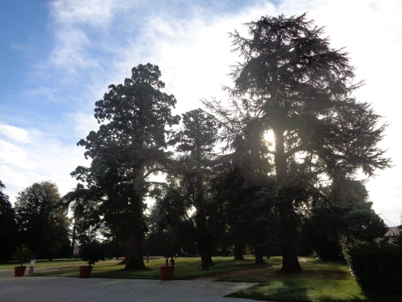Parc de Laurenzanne et somptuosité de son domaine - Gradignan