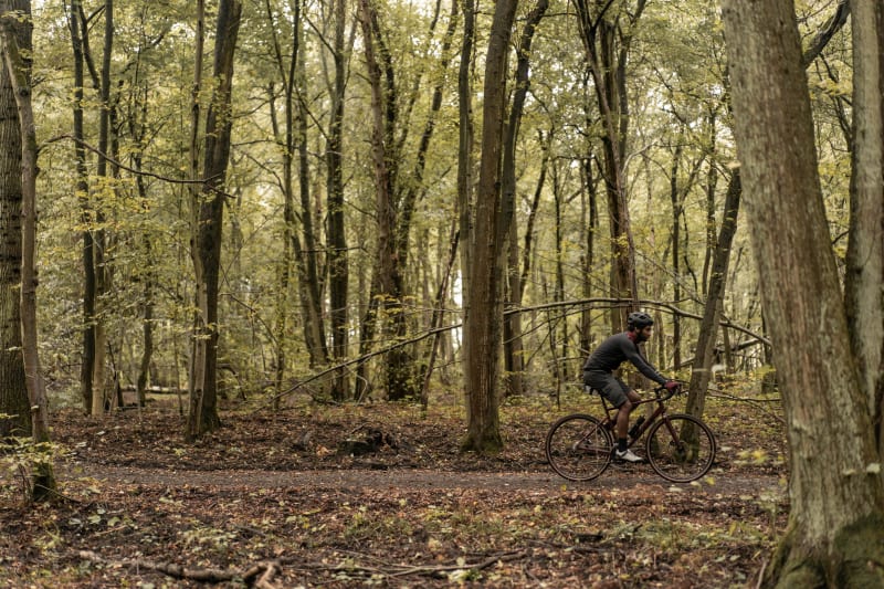 Vélo-train entre 2 gares en forêt de Phalempin - Phalempin
