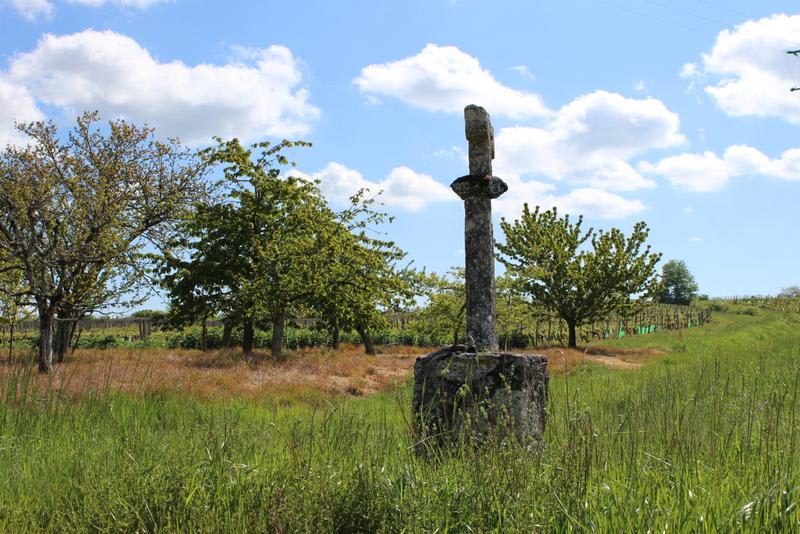 Boucle de Pinson et le charme des chemins ruraux - Saint-André-et-Appelles