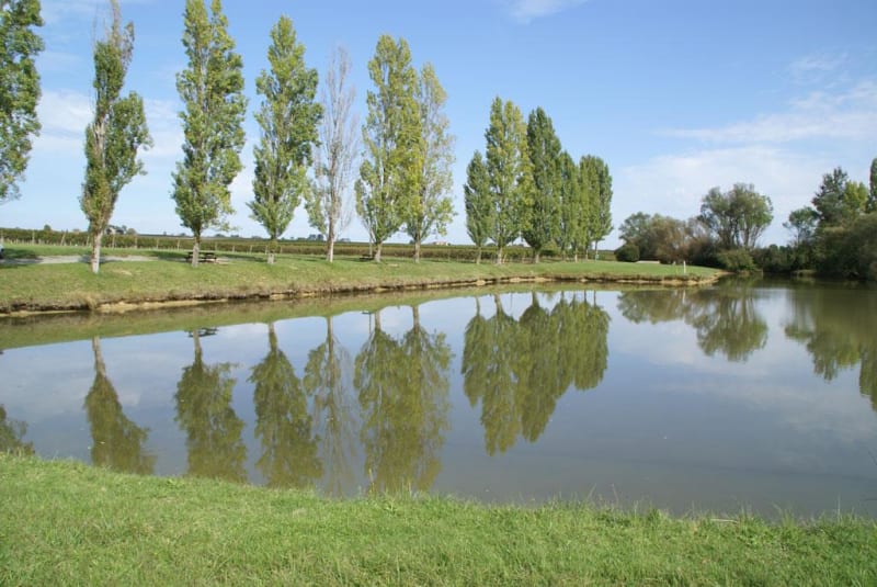 Lac de Saint-Martial et virée champêtre au cœur des vignes - Saint-Martial