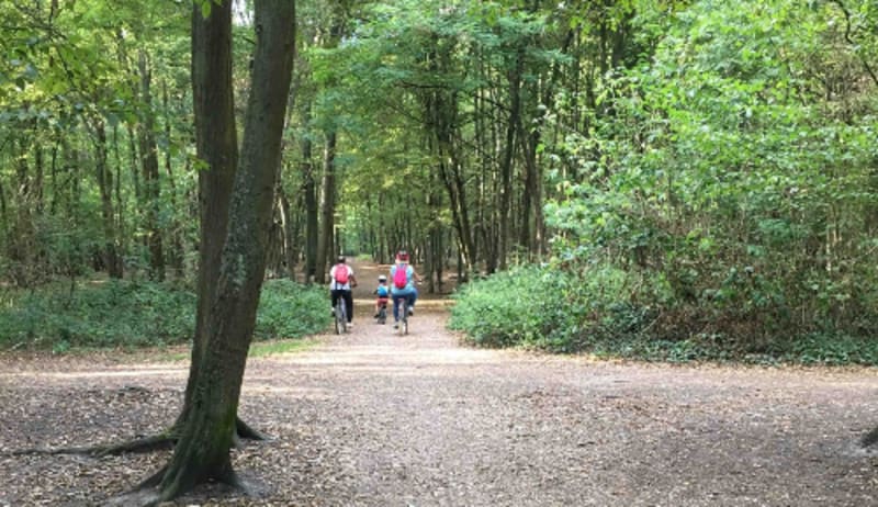 Bois de Boissy à VTT, détente et fraicheur près de Taverny - Bassin de Boissy