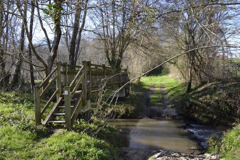 Boucle de la Bassanne et flânerie le long de la rivière - Savignac