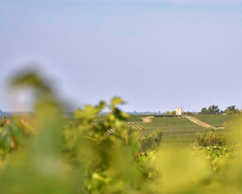Boucle du Haros et splendide panorama sur la vallée - Saint-Yzan-de-Soudiac