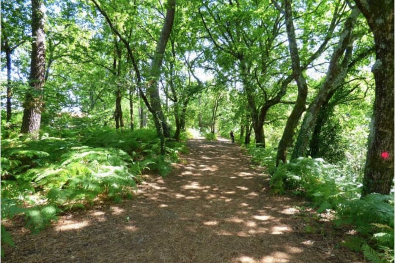 Promenade au parc de la Cheneraie et détente près du canal - GUJAN-MESTRAS