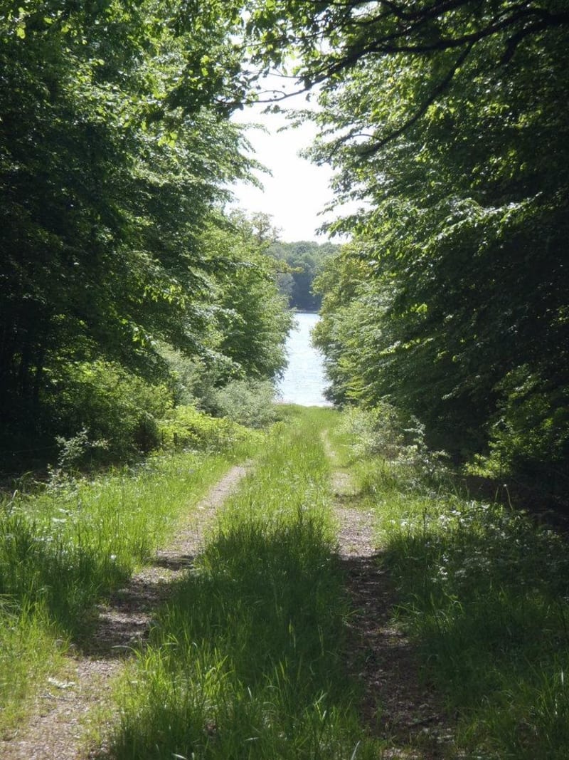Herfstschemering op Temple Lake en wilde paden - La Loge-aux-Chèvres