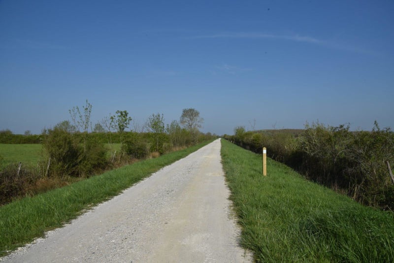 Balade sauvage à Queyrac et quiétude entre vigne et marais - Queyrac