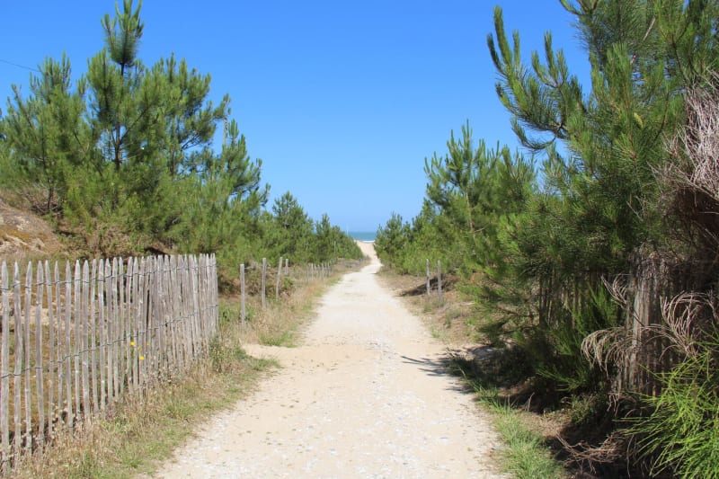 Tour de Verdon-Sur-Mer et paysages variés - 33123 LE VERDON-SUR-MER