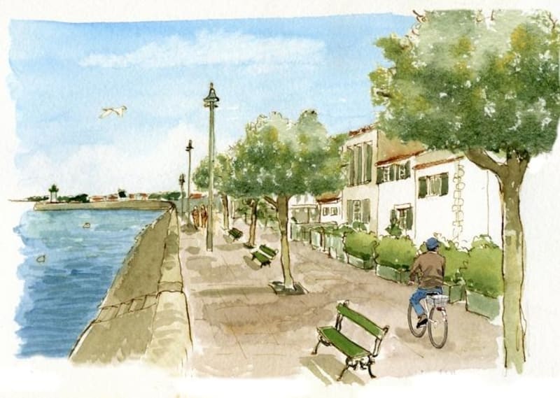 Ontdek de vloot en fiets langs de oceaan - Saint-Martin-de-Ré