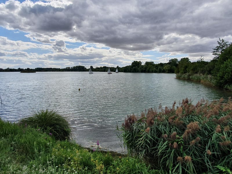 Lac de Châlette, étangs de Cepoy et bain de nature - Châlette-sur-Loing