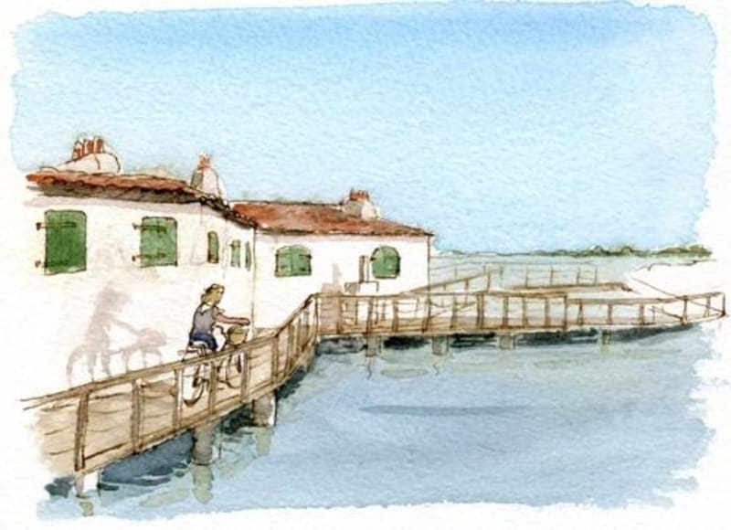 Presqu'île de Loix et balade à vélo le long du rivage - Loix