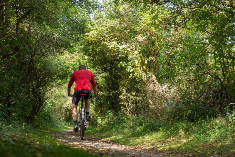 Petite balade à VTT et bain de nature autour d'Héricourt - Héricourt