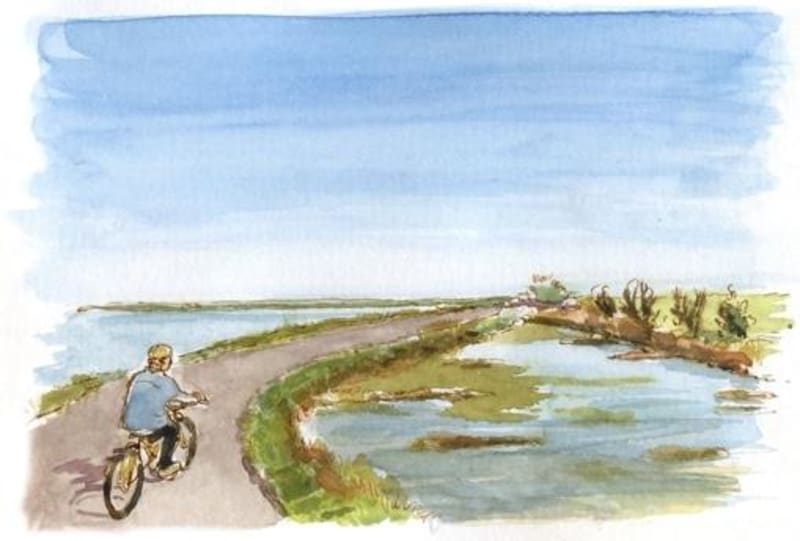Au bout de l'île à Ars-sur-Ré et Marais d'Eloi - Ars-en-Ré
