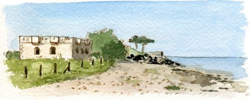 Découverte de la Fosse de Loix et Bois-Plage-en-Ré - Le Bois-Plage-en-Ré