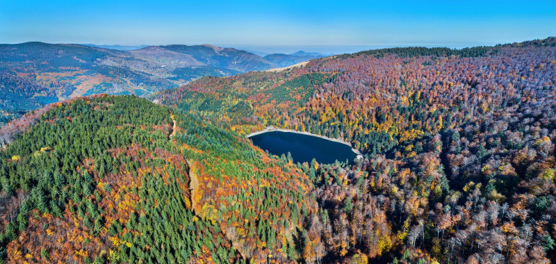 De Rimbach-près-Guebwiller au Grand Ballon par les GR® - Rimbach-prés-Guebwiller