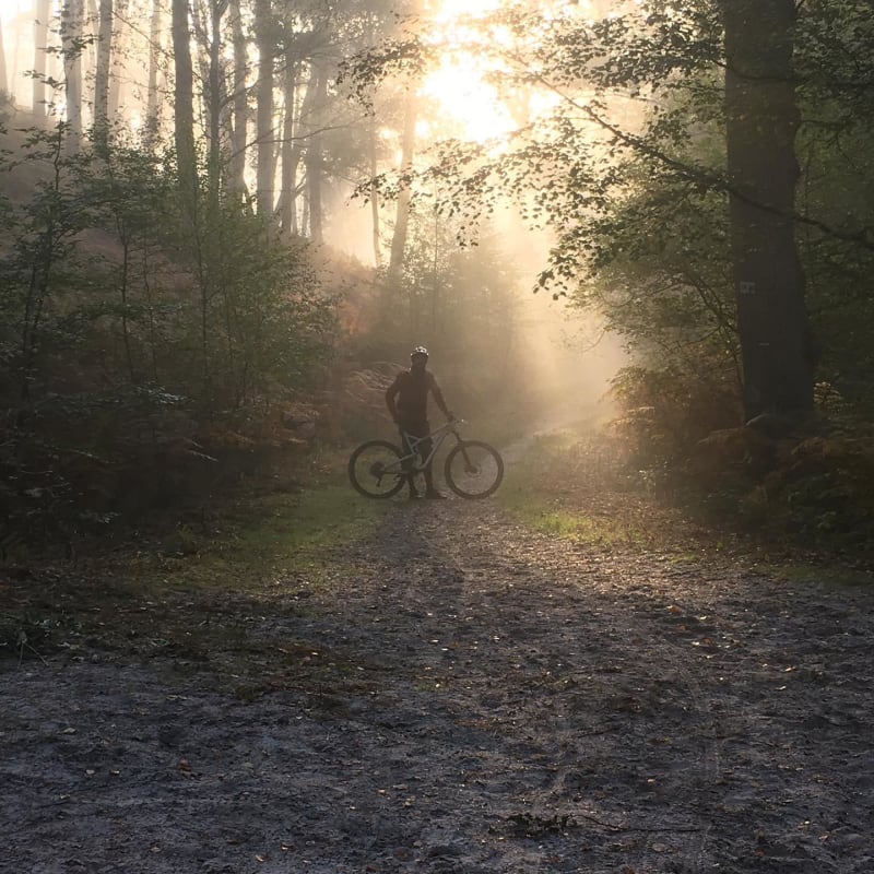 Gambais et sa virée forestière en Haute Vallée de Chevreuse - Gambais