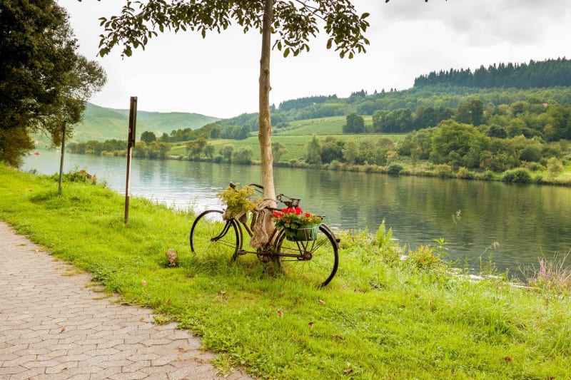 Longer la rivière de la Moselle et belle balade depuis Yutz - Yutz