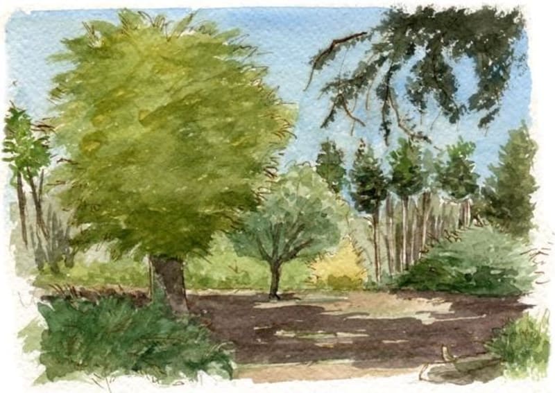 Découvertes autour de la Noue et dessins enchanteurs - Saint-Martin-de-Ré