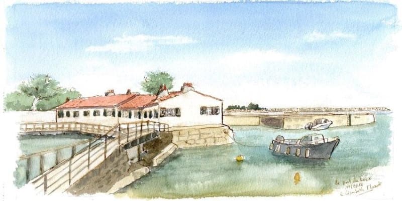 Randonnée à Loix en passant voir la Couarde-sur-Mer - Loix