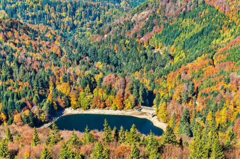 Ballonmeer en herlaad uw batterijen in de bossen van de Vogezen - Sengern, Lautenbach-Zell
