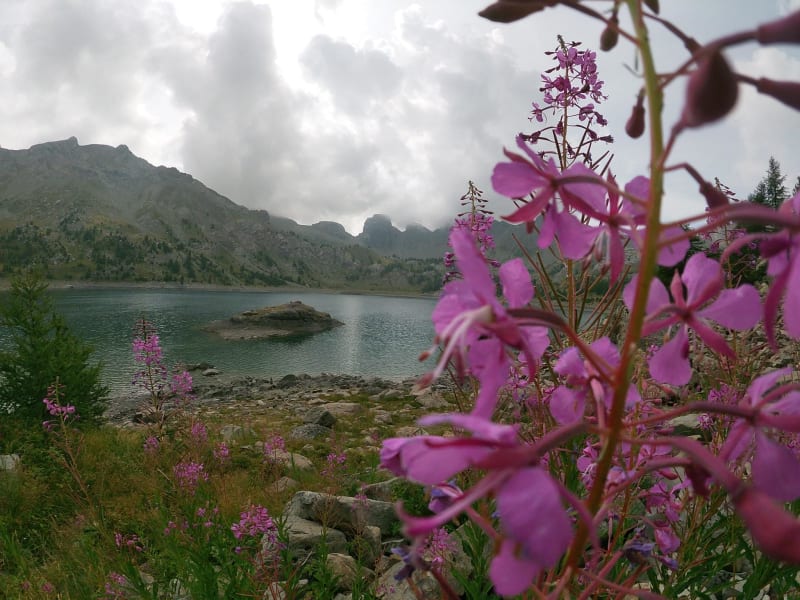 Beauté du Mercantour et douce béatitude devant le lac d'Alos - Allos