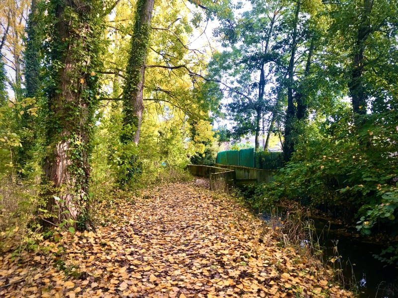 Sentier des 2 rivières et bulle d'oxygène dans les bois - Béthune