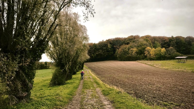 Virée VTT entre mines, forêt et collines de l'Artois - Noeux-les-Mines
