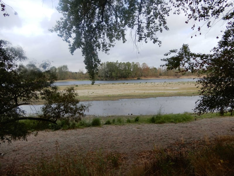 Etangs autour de Fontaines-en-Sologne dans le Loir-et-Cher - Fontaines-en-Sologne