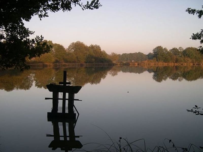 Fontaines-en-Sologne et circuit des étangs solognots - Fontaines-en-Sologne