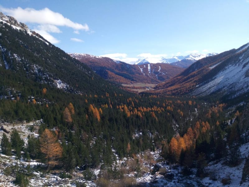 Alpages, lac de Néal et vallée d'Arvieux dans le Queyras - Arvieux