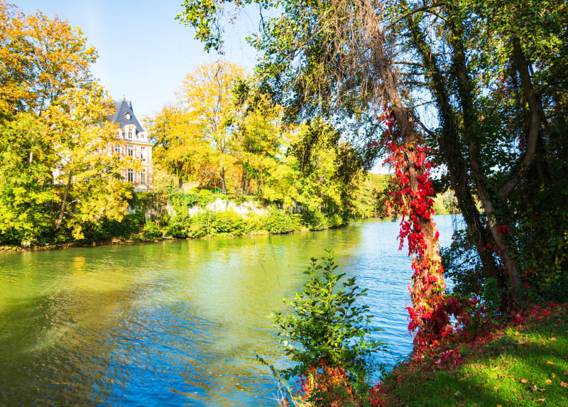 Paisible bord de l'Oise et rencontres volatiles - Boran-sur-Oise