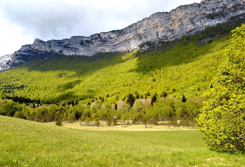 Découverte de la Tourbière de Peuil et sa magie perpétuelle - Claix