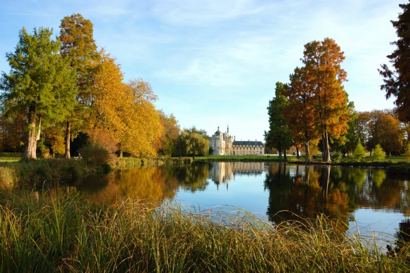 Chantilly et crème des jardins à l'occidentale - Chantilly