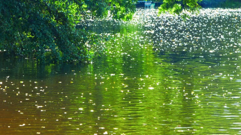 Ainsi Vaast la vie, entre marais et carrières - Saint-Vaast-Lès-Mello