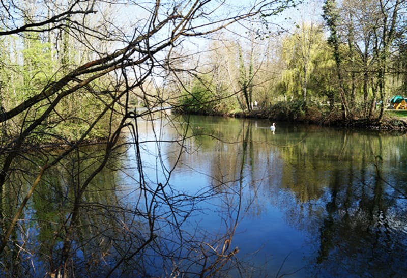 En famille le long des rives du Loiret à Olivet - Olivet