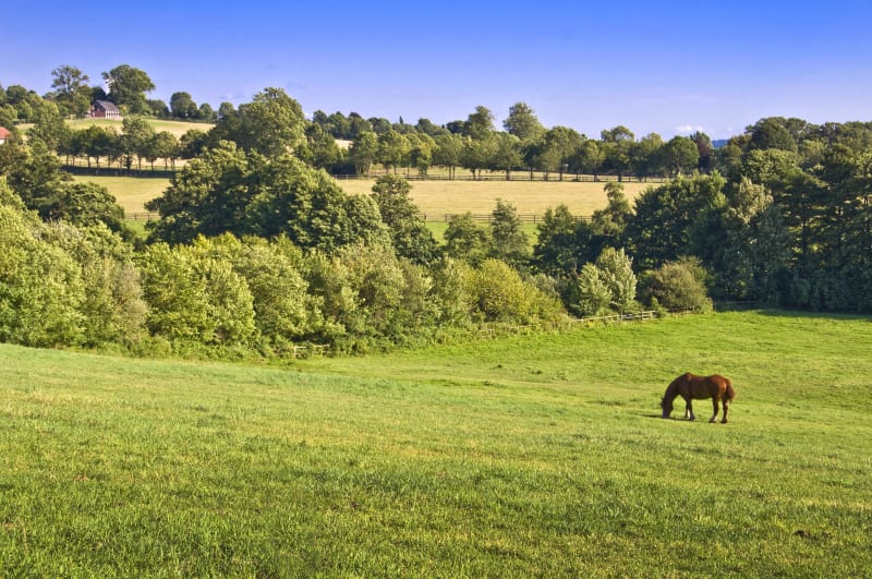 Montchauvet et virée charmante dans le bocage - Montchauvet
