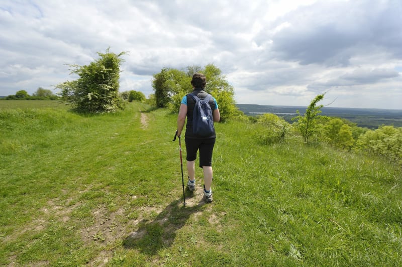 Pronleroy, chemin des châteaux et chapelles - Cressonsacq