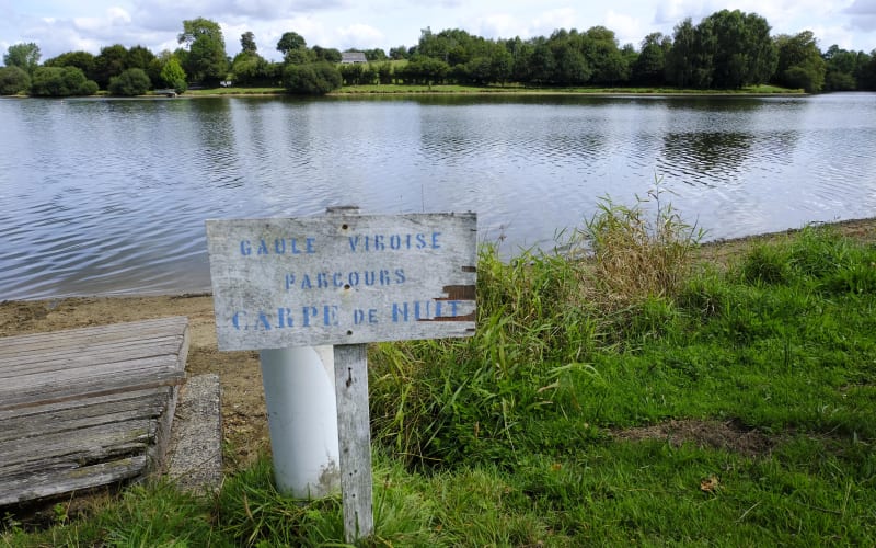 Het meer van Dathée en een vlucht wilde vogels - Saint-Manvieu-Bocage
