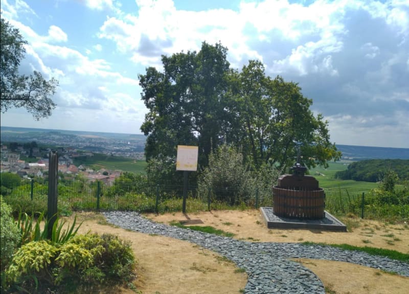 Vélo-train à Epernay et escapade pétillante - Eperrnay
