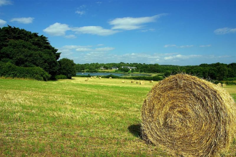 Au temps des Gaulois et virée campagnarde - Villers-Saint-Frambourg-Ognon