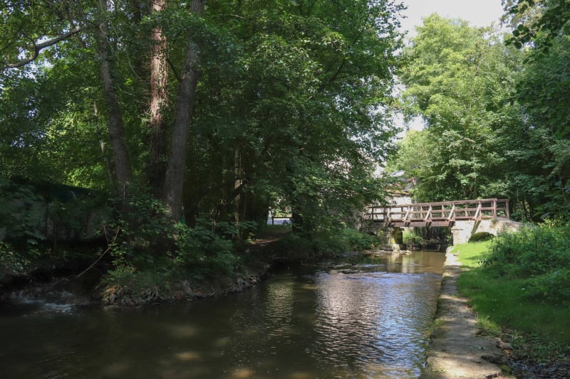 Autour de Maincy et le long de L'Almont par le GR® 1 - Melun
