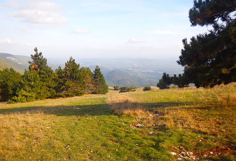 Mourre Nègre et sommets chauves du Haut Lubéron - Auribeau
