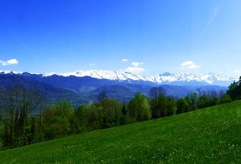 Flânerie à Montabon et balade insouciante - Montabon de la Terrasse