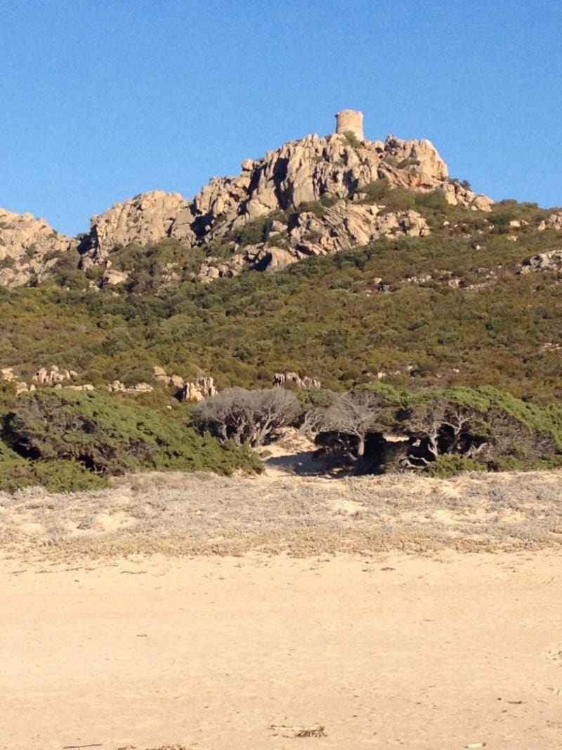 Cap de Rocappina et sieste sous les genévriers - Roccapina