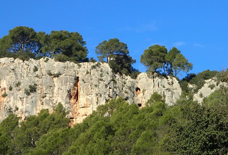 Cabasse-sur-Issole et se délecter des histoires provençales - Cabasse-sur-Issole