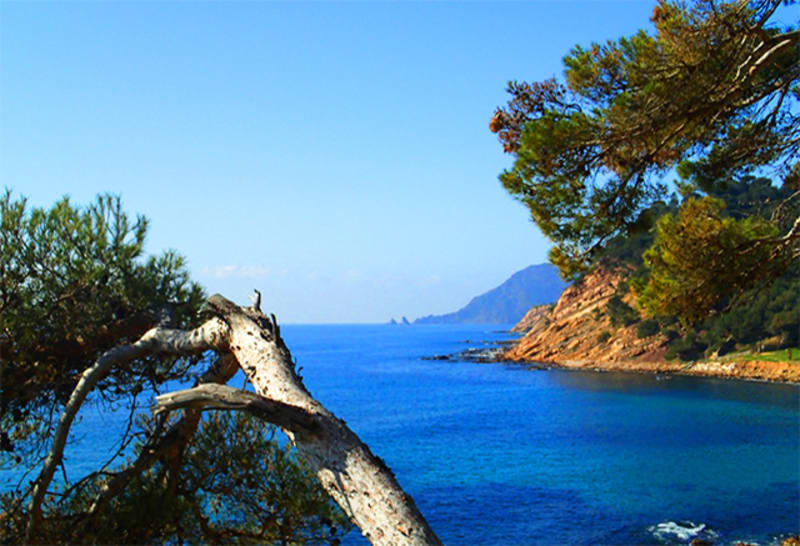 Saint-Mandrier vu par Jean Aicard et les Deux Frères - Saint-Mandrier-sur-Mer