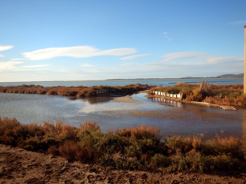 Balade au milieu des salins et petit cours d'histoire - Villeneuve-lès-Maguelone