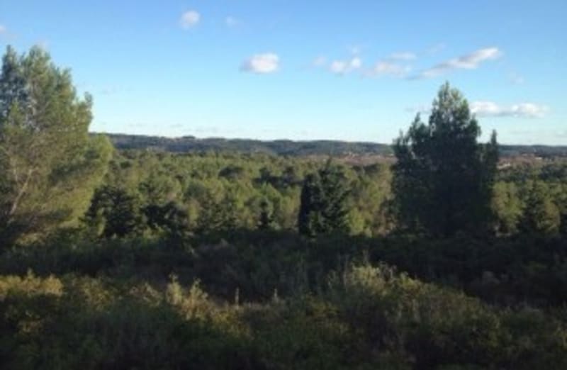 Bois de Saint-Sauveur et bain de fraîcheur - Saint-Clément de rivière