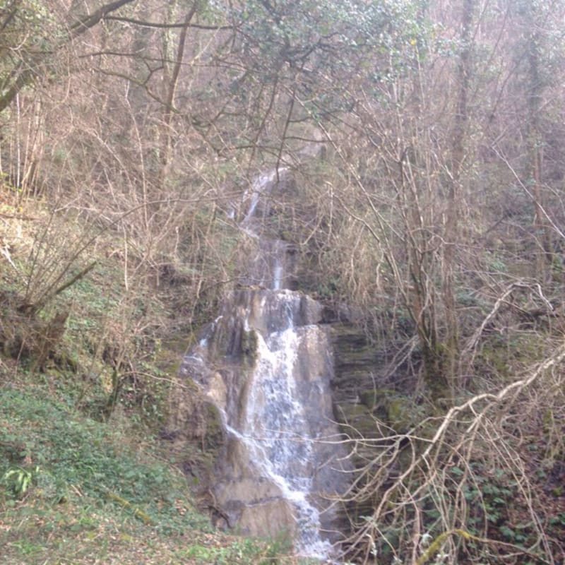 Cascade du ruisseau des Bretonnières et cueillette gourmande - Saint-Maximim