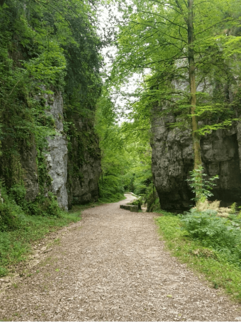 Voie Sarde et un univers de pierres moussues - Saint-Christophe-La-Grotte