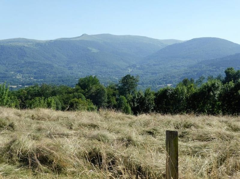 Forêt de Serres-sur-Arget et champignons à foison - Serre-sur-Arget